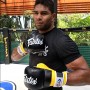 Fairtex FGV18 Перчатки MMA Спарринговые Черные с Синим 